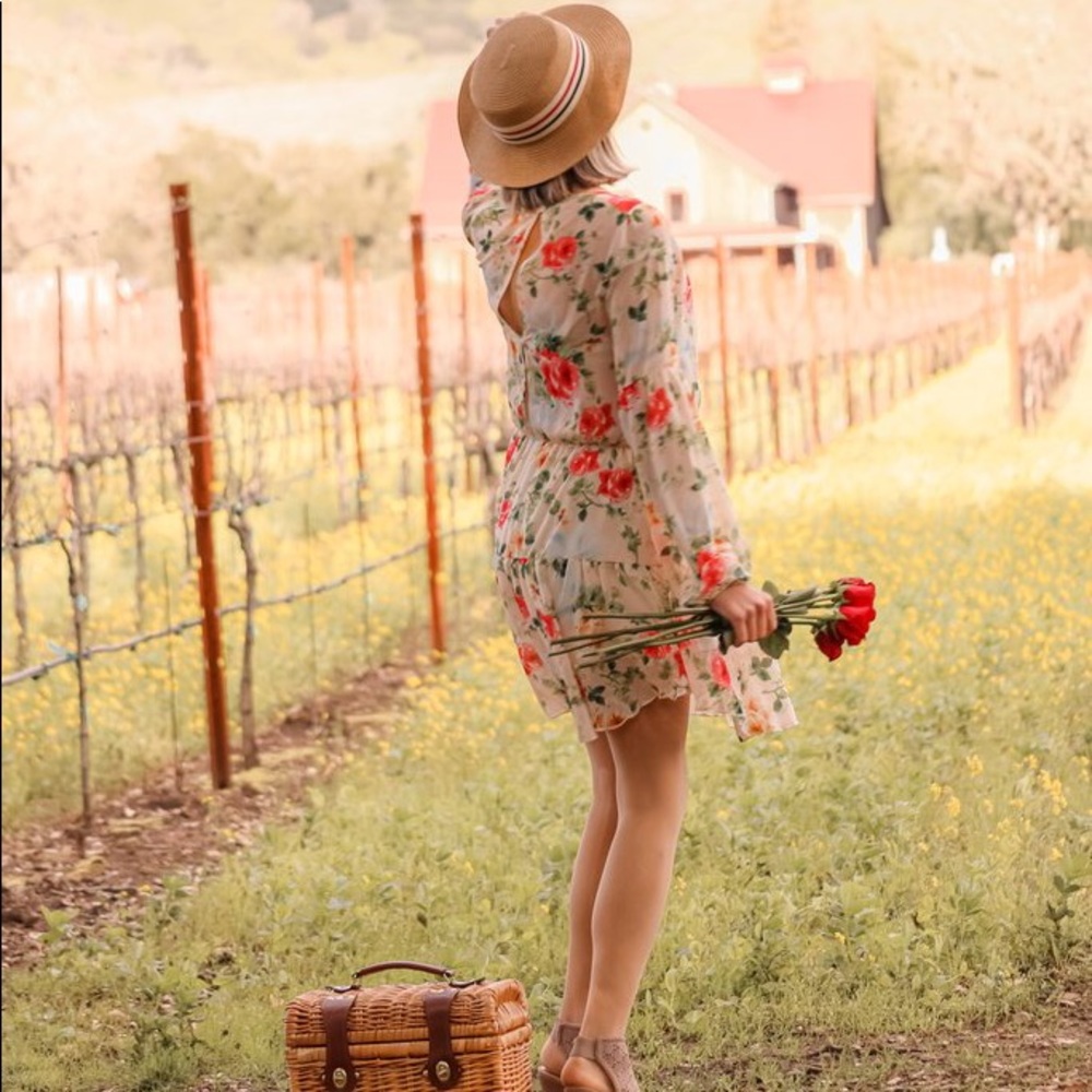 SOLD OUT ONLINE BOUTIQUE Fields Of Dreams Dress - Picture 4 of 7